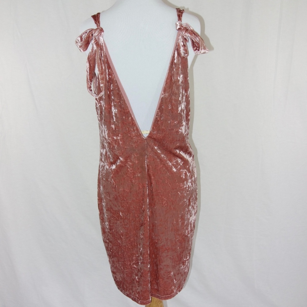 H&M Rose Crush Velvet dress